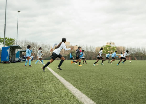 略及其在比 略及其在比