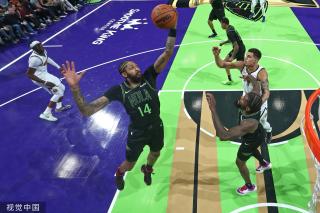 视化的动物 视化的动物